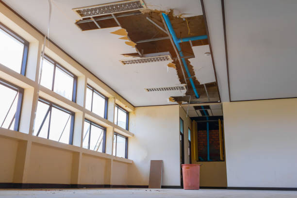 Best Water damage restoration near me  in Tucson Mountains, AZ