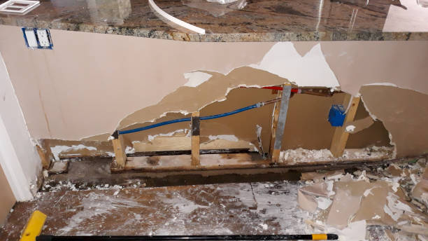 Best Local water damage restoration  in Tucson Mountains, AZ