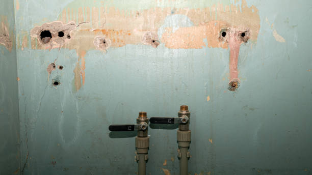 Best Flooded house restoration  in Tucson Mountains, AZ