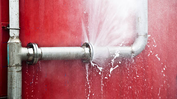 Best Flood damage cleanup  in Tucson Mountains, AZ